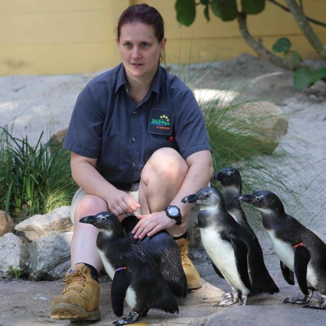 Secrets Of The Zoo: Penguin Party