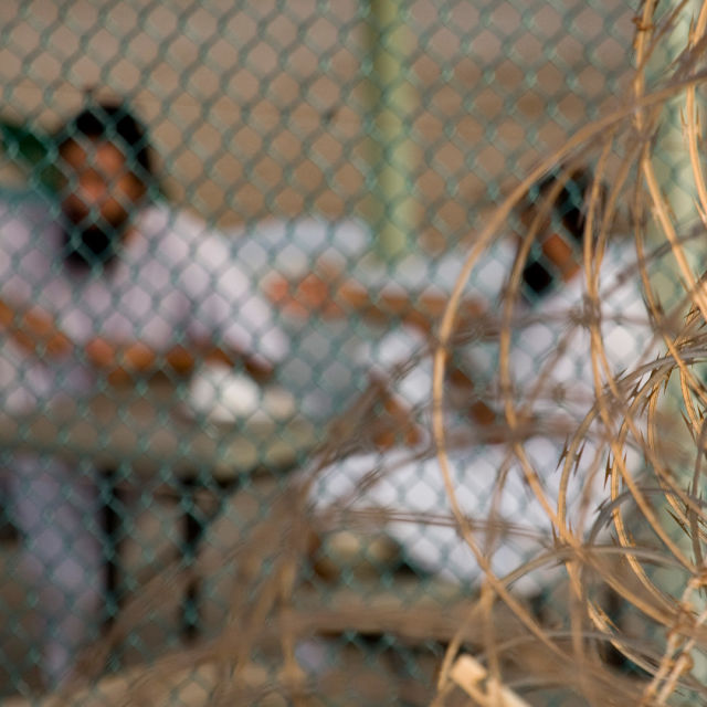 Guantanamo's Secrets