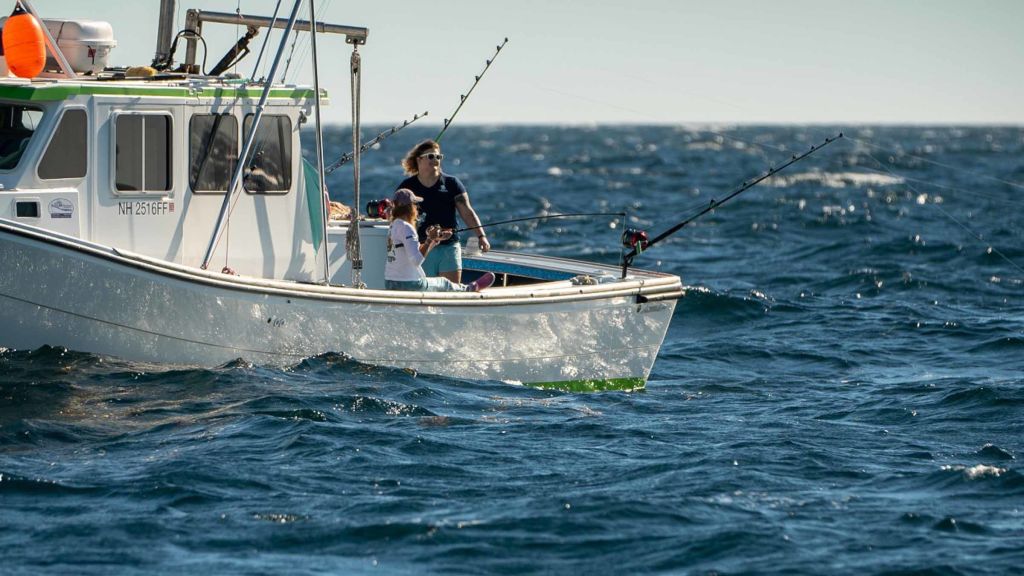 Wicked Tuna - National Geographic - Your favourite shows